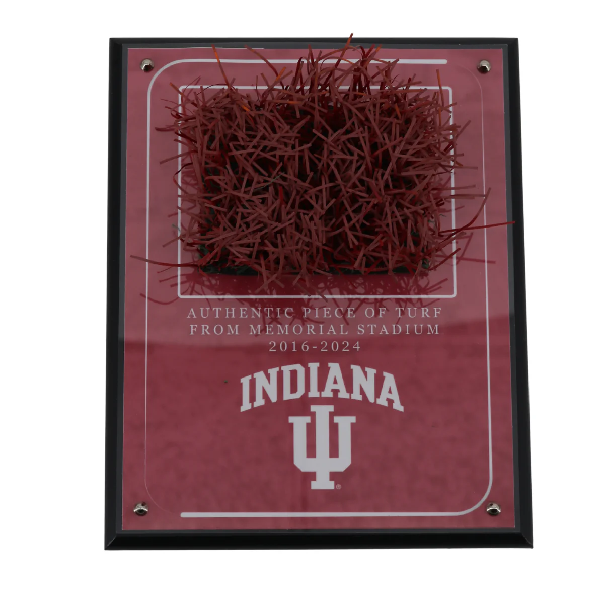 Indiana University Authentic Piece of Memorial Stadium Turf Plaque - Image 2
