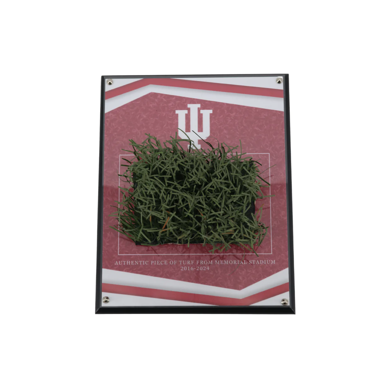 Indiana University Authentic Piece of Memorial Stadium Turf Plaque - Image 3