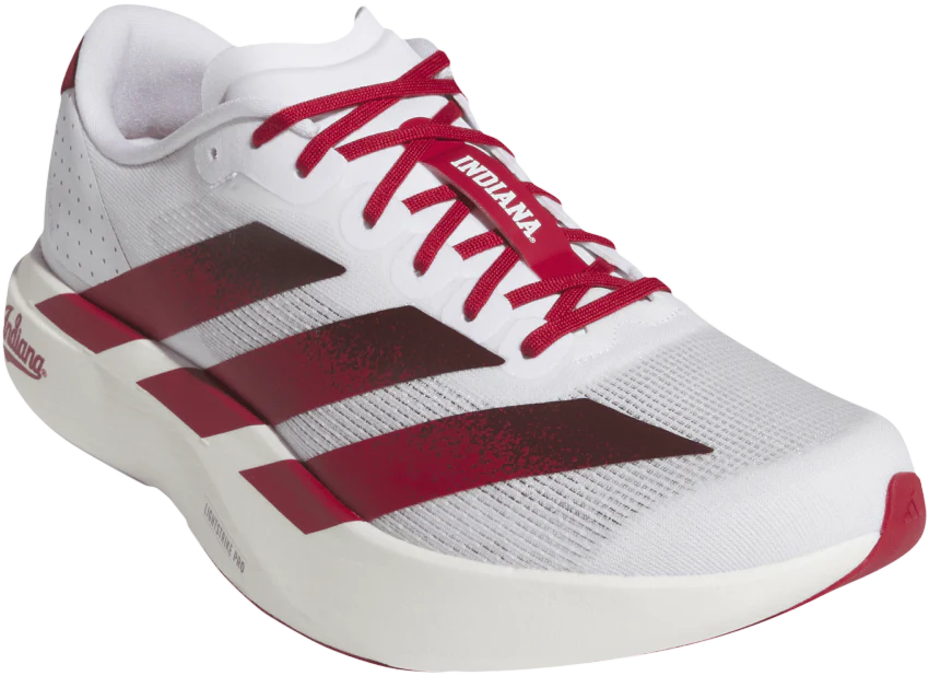 Indiana Hoosiers Adidas Adizero Evo Sl Running Shoes - Image 4