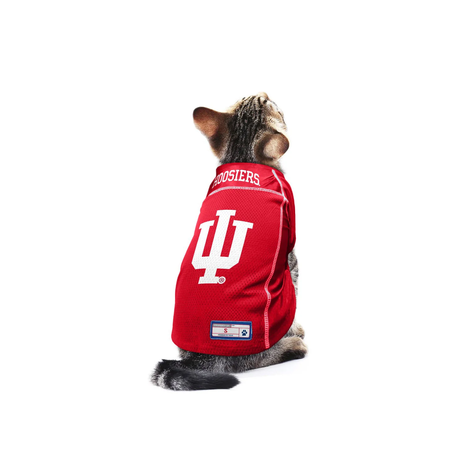 Indiana Hoosiers Pet Jersey - Image 3